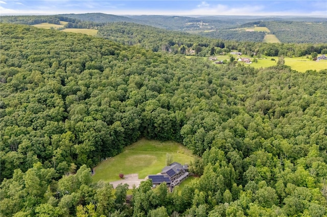 1797 E Campville Rd, Owego, NY 13760 - photo 49
