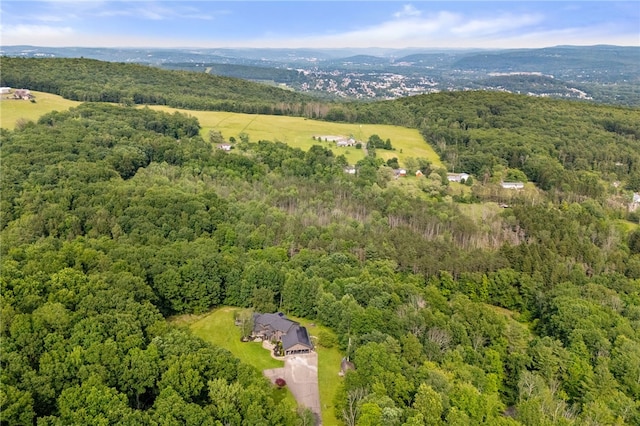 1797 E Campville Rd, Owego, NY 13760 - photo 50