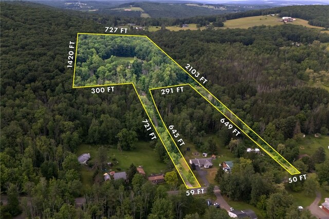1797 E Campville Rd, Owego, NY 13760 - photo 48