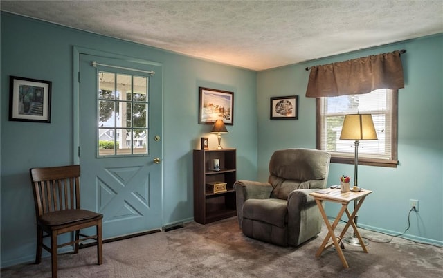 38 Tobin Rd, Henrietta, NY 14467 - sitting room featuring carpet flooring and a textured ceiling