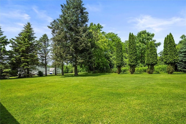 38 Tobin Rd, Henrietta, NY 14467 - view of green lawn