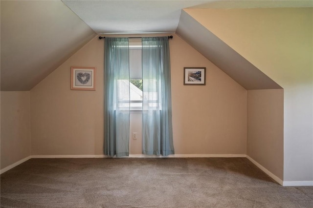 38 Tobin Rd, Henrietta, NY 14467 - bonus room with carpet and vaulted ceiling