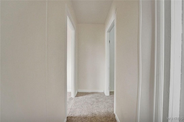 214 Ludington St, Buffalo, NY 14206 - hall featuring carpet flooring and baseboards