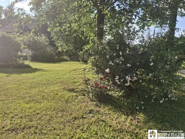 316 W 7th St, Jamestown, NY 14701 - photo 6