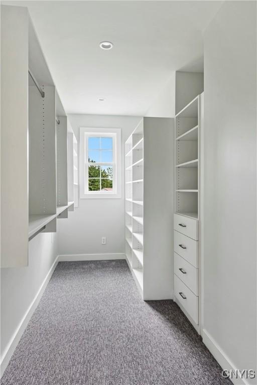 3745 Fisher Rd, Skaneateles, NY 13152 - spacious closet with carpet flooring