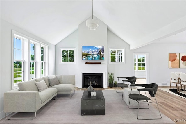 3745 Fisher Rd, Skaneateles, NY 13152 - living area featuring wood finished floors, a glass covered fireplace, and lofted ceiling