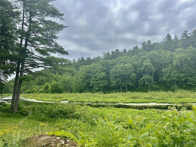 47382 State Highway 37, Alexandria, NY 13646 - photo 21