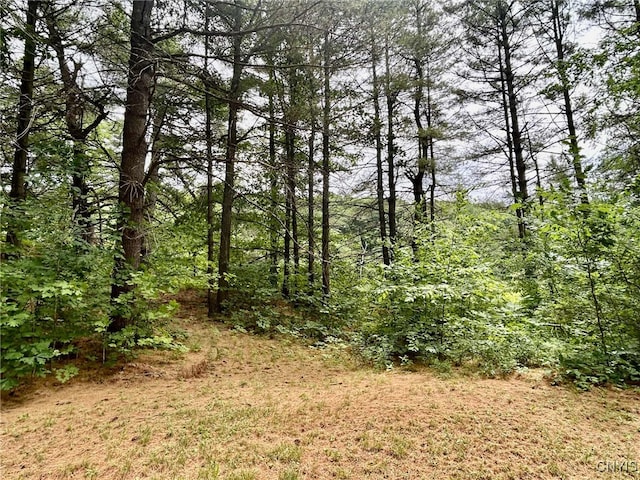 47382 State Highway 37, Alexandria, NY 13646 - photo 24