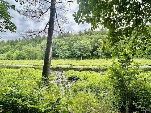47382 State Highway 37, Alexandria, NY 13646 - photo 25