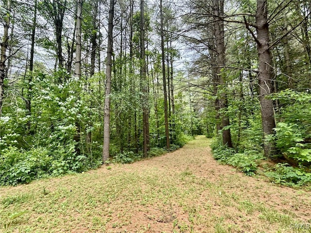 47382 State Highway 37, Alexandria, NY 13646 - photo 27