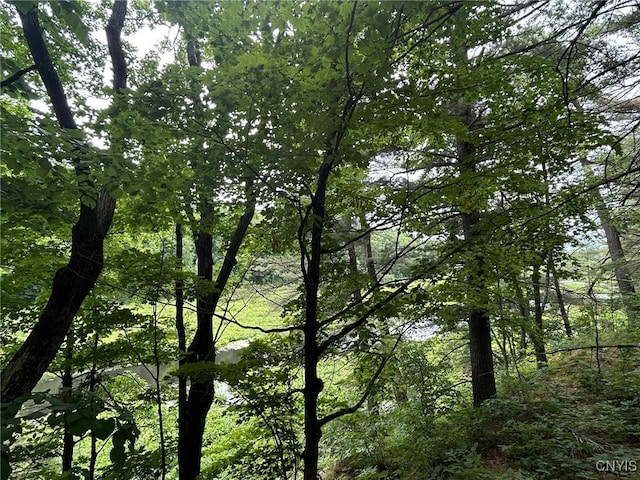 47382 State Highway 37, Alexandria, NY 13646 - photo 29