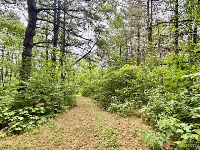 47382 State Highway 37, Alexandria, NY 13646 - photo 30