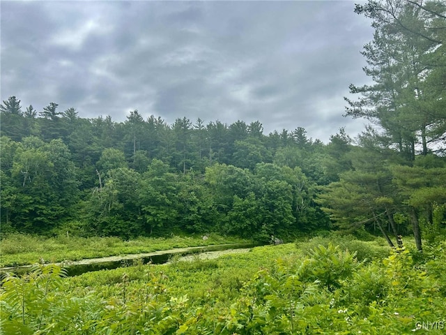 47382 State Highway 37, Alexandria, NY 13646 - photo 33