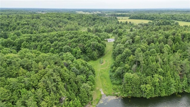 32227 County Route 22, Antwerp, NY 13691 - drone / aerial view of a large body of water