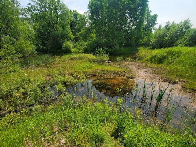 1276 County Route 121, Ellisburg, NY 13661 - photo 47