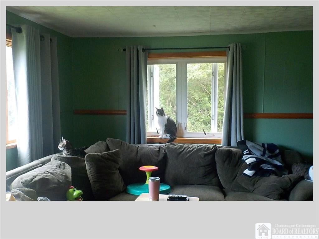 69 S State St S, Ripley, NY 14775 - photo 3