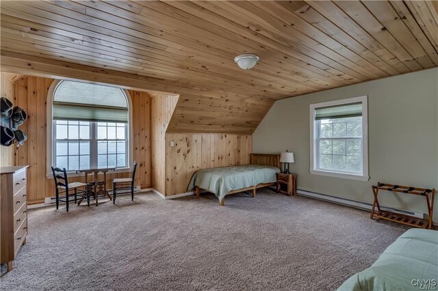 28005/08 Stony Point Rd, Cape Vincent, NY 13618 - bedroom featuring wooden ceiling, a baseboard heating unit, wood walls, vaulted ceiling, and carpet flooring