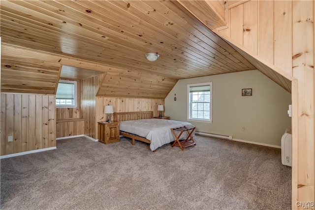 28005/08 Stony Point Rd, Cape Vincent, NY 13618 - carpeted bedroom featuring wooden ceiling, a baseboard radiator, lofted ceiling, wood walls, and multiple windows