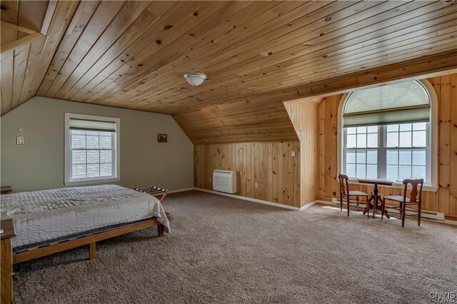 28005/08 Stony Point Rd, Cape Vincent, NY 13618 - bedroom with wooden walls, vaulted ceiling, carpet floors, wooden ceiling, and a baseboard heating unit