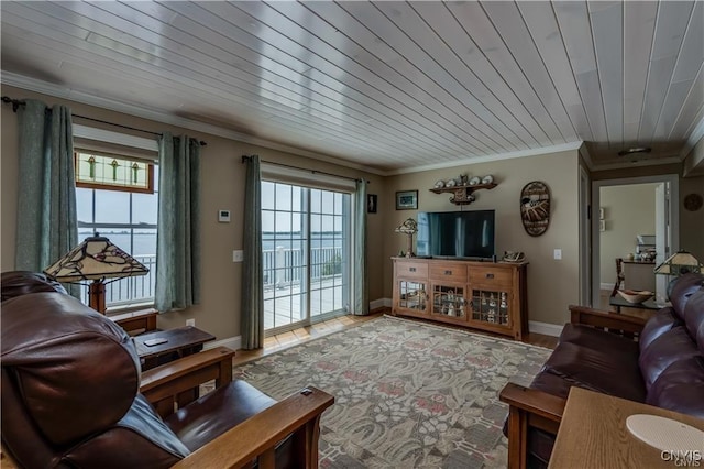 28005/08 Stony Point Rd, Cape Vincent, NY 13618 - living room featuring ornamental molding, wood ceiling, and light wood-type flooring