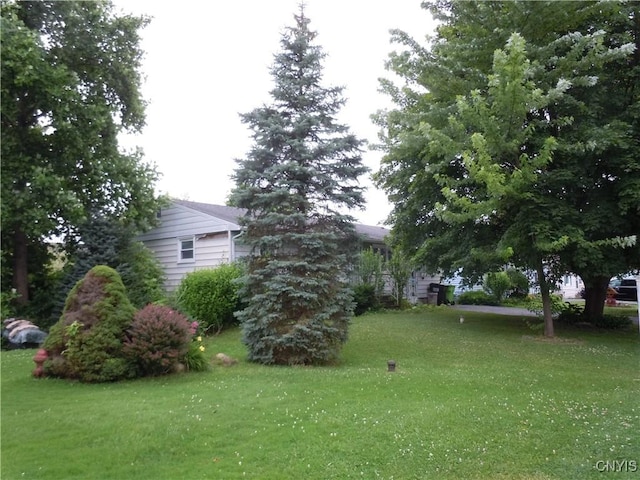 327 Noble Ave, Salina, NY 13206 - photo 2