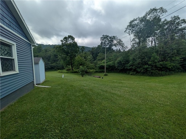 1525 S Ave, Lewis Run, PA 16738 - view of green lawn with a shed