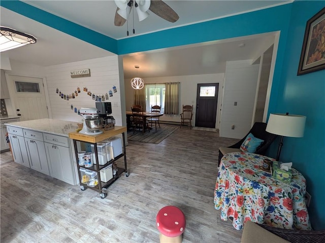 1525 S Ave, Lewis Run, PA 16738 - living area with light wood-type flooring and a ceiling fan