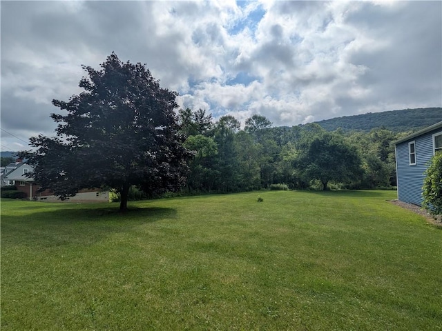 1525 S Ave, Lewis Run, PA 16738 - view of green lawn