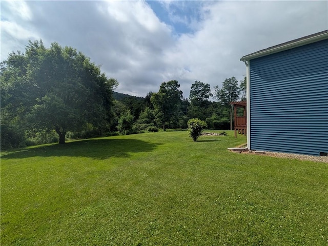 1525 S Ave, Lewis Run, PA 16738 - view of grassy yard