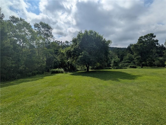 1525 S Ave, Lewis Run, PA 16738 - view of grassy yard featuring a forest view
