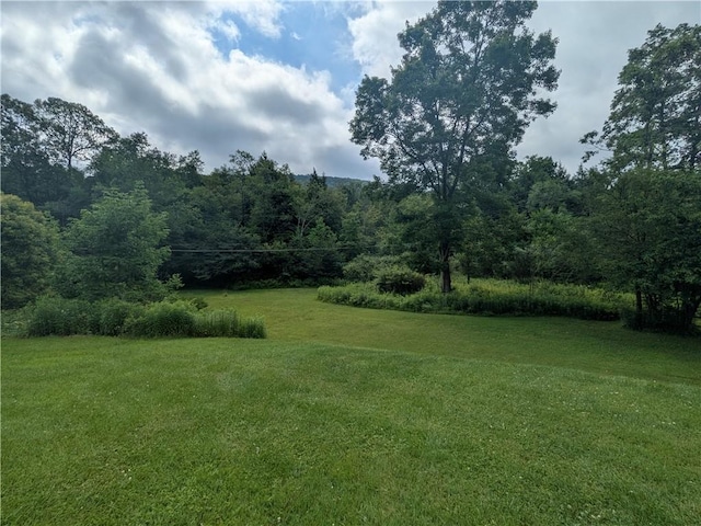1525 S Ave, Lewis Run, PA 16738 - view of grassy yard with a forest view