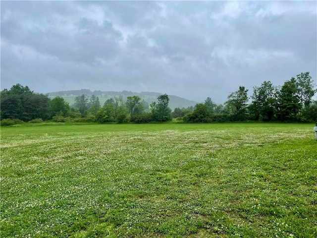 458 County Road 16, Plymouth, NY 13832 - view of grassy yard featuring a mountain view and a view of countryside