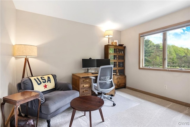 3313 Thompson Rd, Cazenovia, NY 13035 - office space with light carpet and baseboards