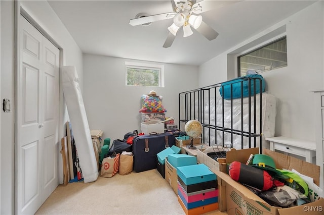 3313 Thompson Rd, Cazenovia, NY 13035 - rec room with carpet floors and a ceiling fan