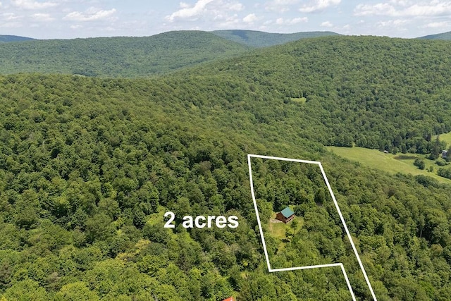 451 Ridge Rd, Bovina, NY 13740 - photo 43