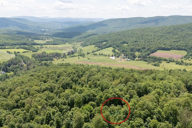 451 Ridge Rd, Bovina, NY 13740 - photo 2
