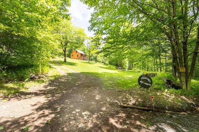 451 Ridge Rd, Bovina, NY 13740 - photo 6