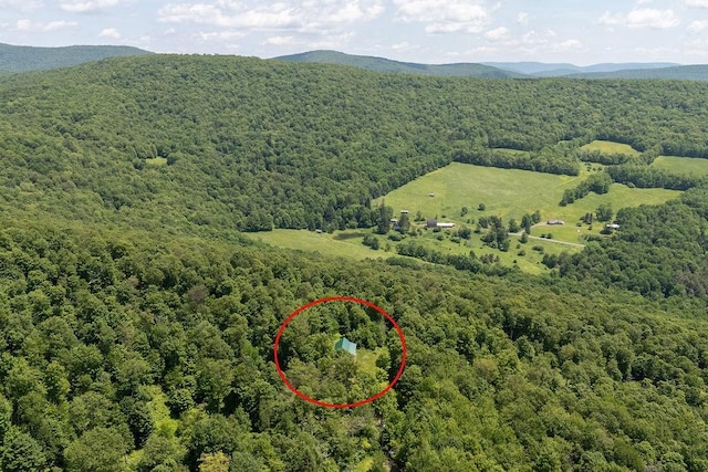 451 Ridge Rd, Bovina, NY 13740 - photo 11