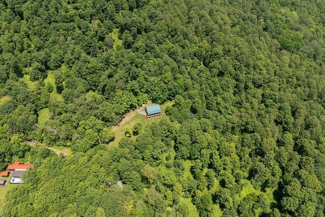 451 Ridge Rd, Bovina, NY 13740 - photo 12