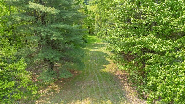 9392 Bronson Rd, Wayland, NY 14572 - photo 47
