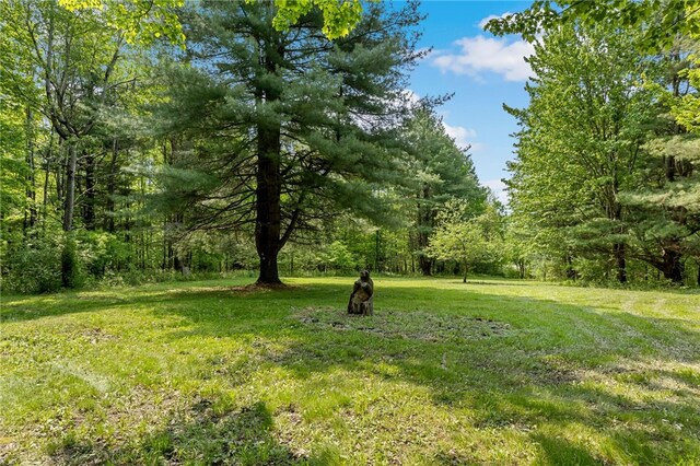 9392 Bronson Rd, Wayland, NY 14572 - photo 37