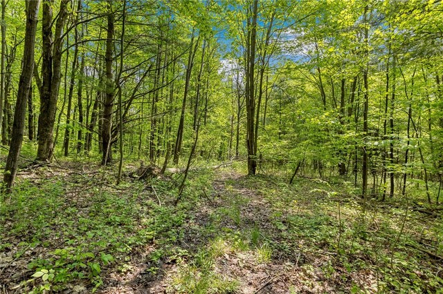9392 Bronson Rd, Wayland, NY 14572 - photo 38