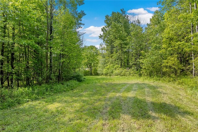 9392 Bronson Rd, Wayland, NY 14572 - photo 39