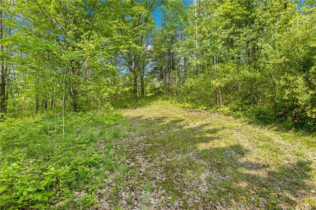 9392 Bronson Rd, Wayland, NY 14572 - photo 41