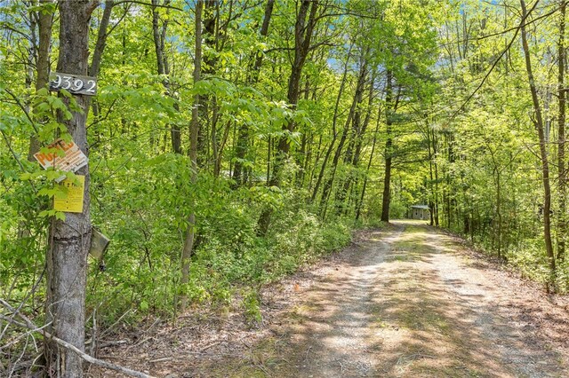 9392 Bronson Rd, Wayland, NY 14572 - photo 43