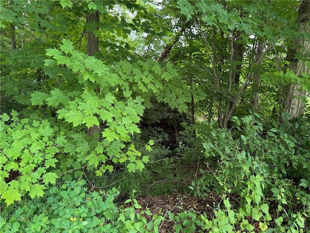 6463 County Road 20, Friendship, NY 14739 - view of undeveloped land