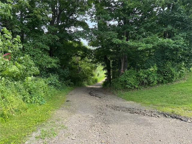 6463 County Road 20, Friendship, NY 14739 - view of road