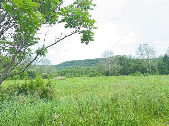 6463 County Road 20, Friendship, NY 14739 - mountain view featuring a forest