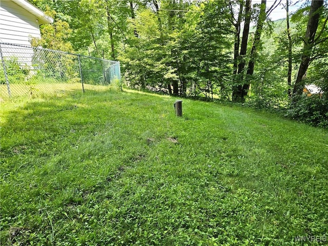 8905 W Bucktooth Run Rd, Little Valley, NY 14755 - photo 25