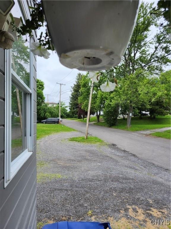 114 Stevens Pl, Syracuse, NY 13210 - view of yard